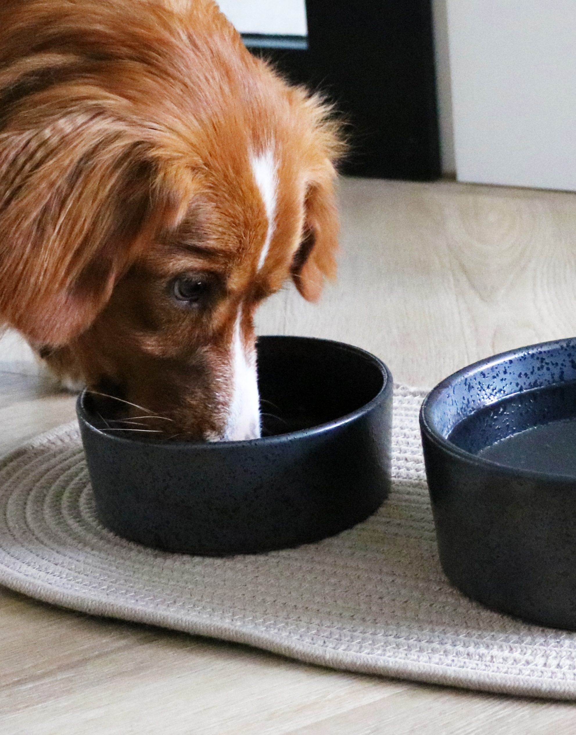  D&D home: new arrivals in the picture!