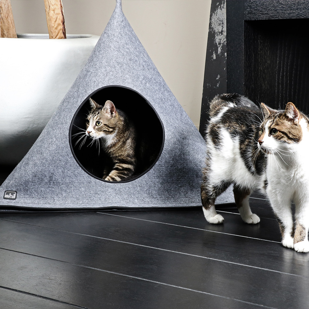 Hellen, Hazel & Duke, speeltijd!