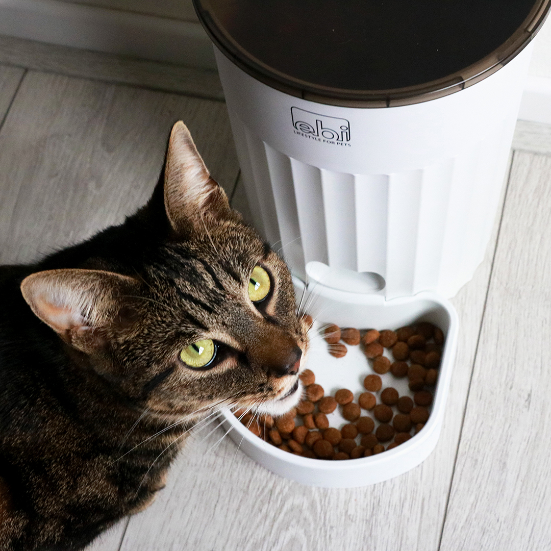 Les systèmes d'alimentation intelligents d'EBI