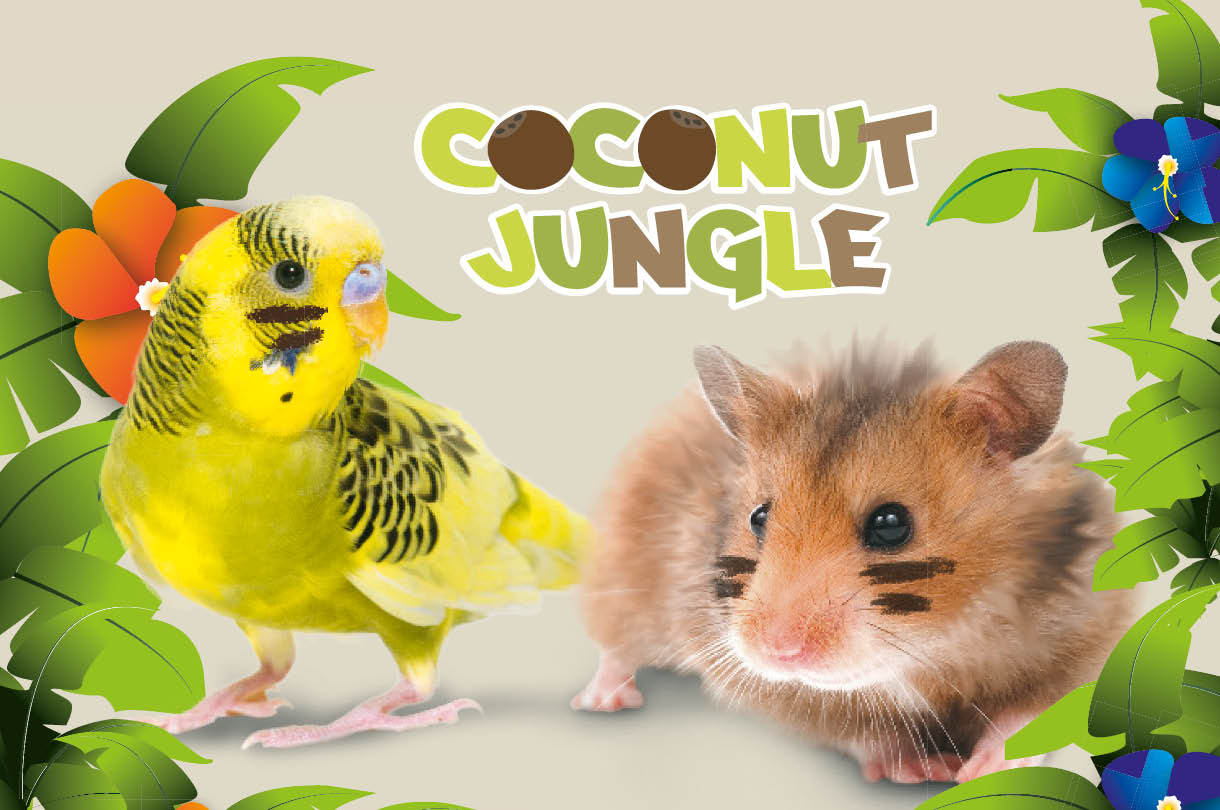 coconut jungle